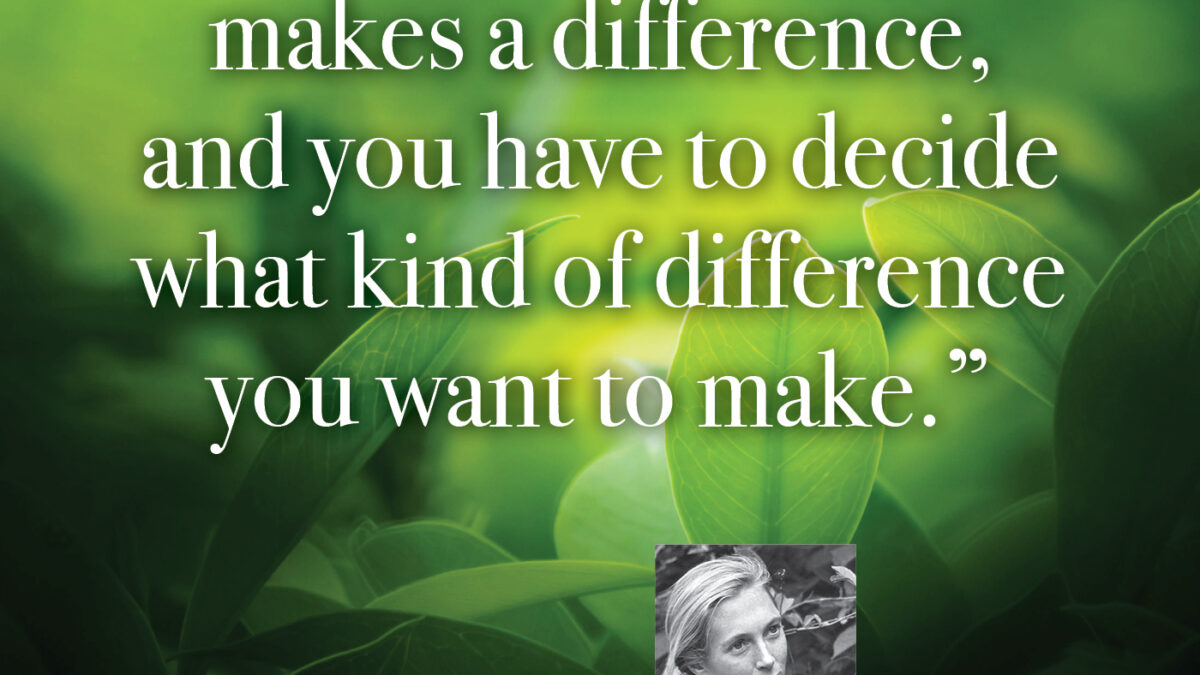 What you do makes a difference, and you have to decide what kind of difference do you want to make.